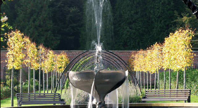 Bangor walled garden