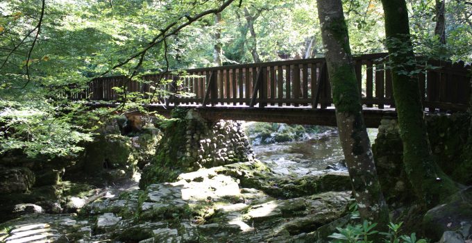 Tollymore Forest Park